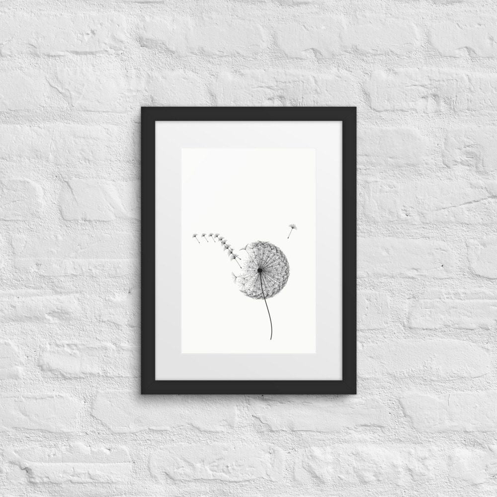 The Dandelion Clock, framed, Black, on a wall