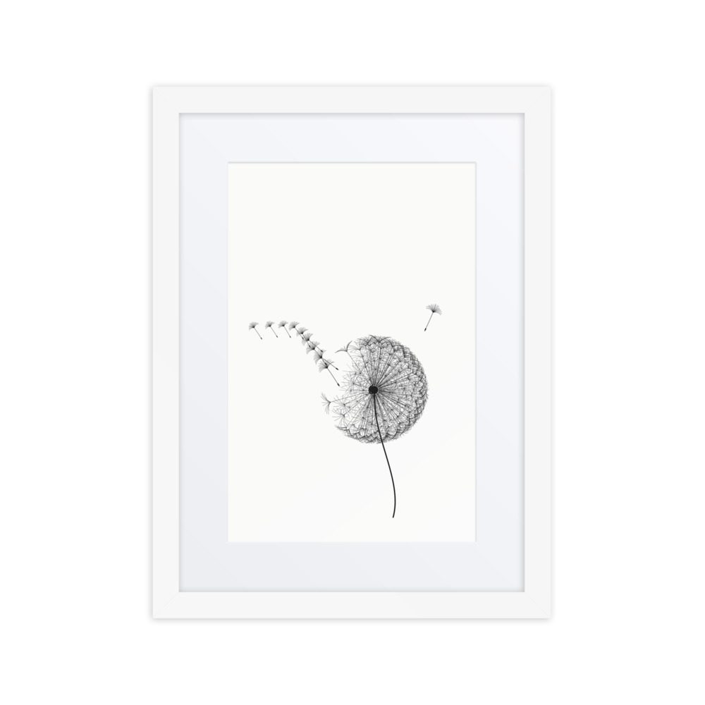 The Dandelion Clock, framed, White