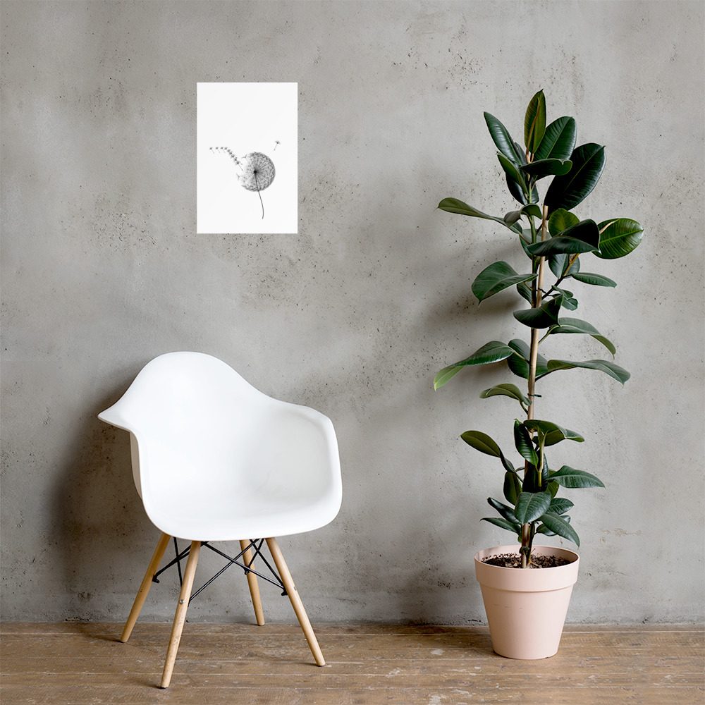 The Dandelion Clock, on a wall