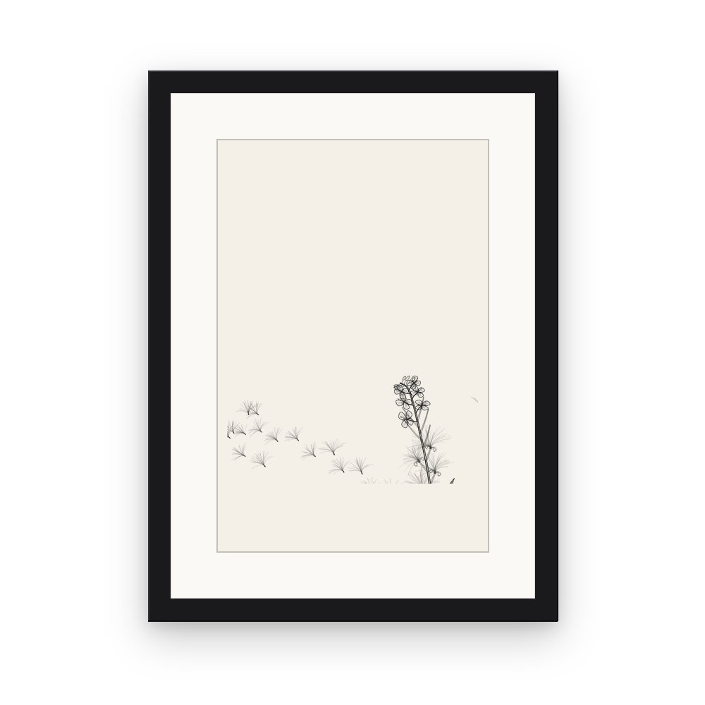 The Fireweed, framed, Black