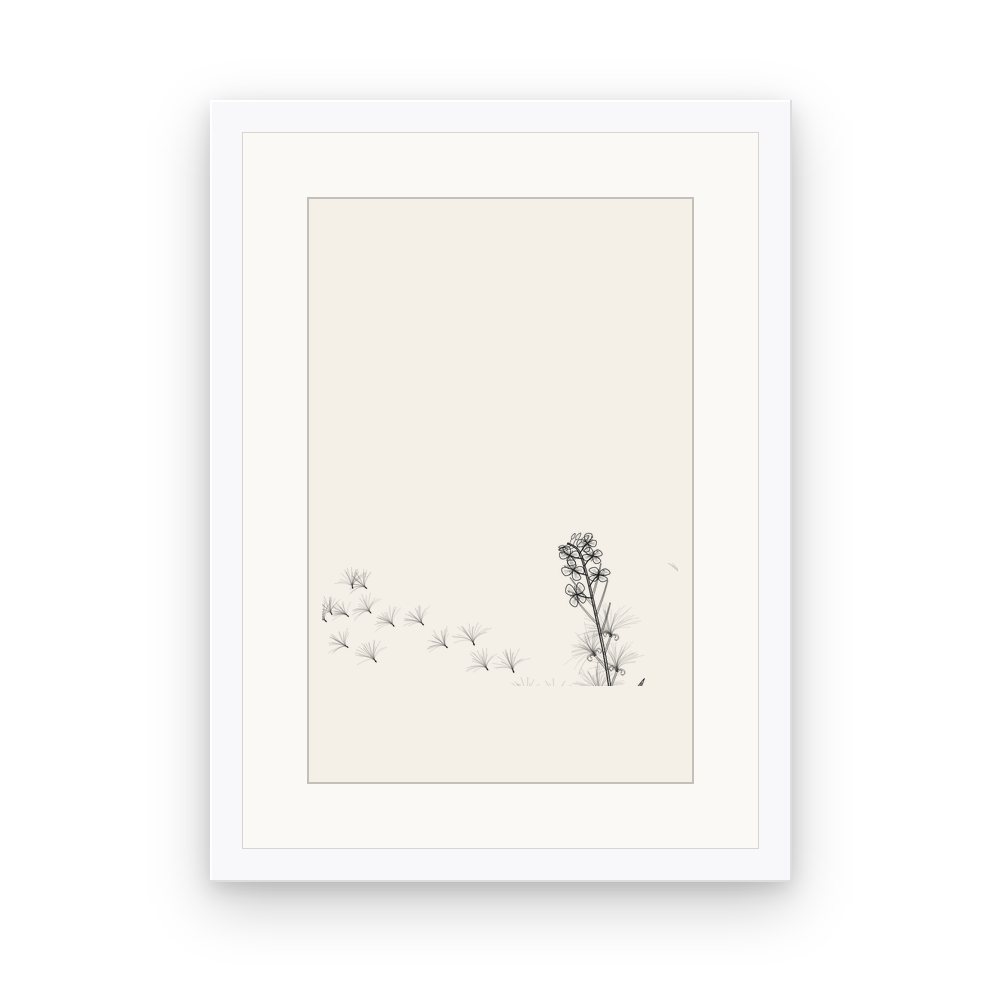 The Fireweed, framed, White