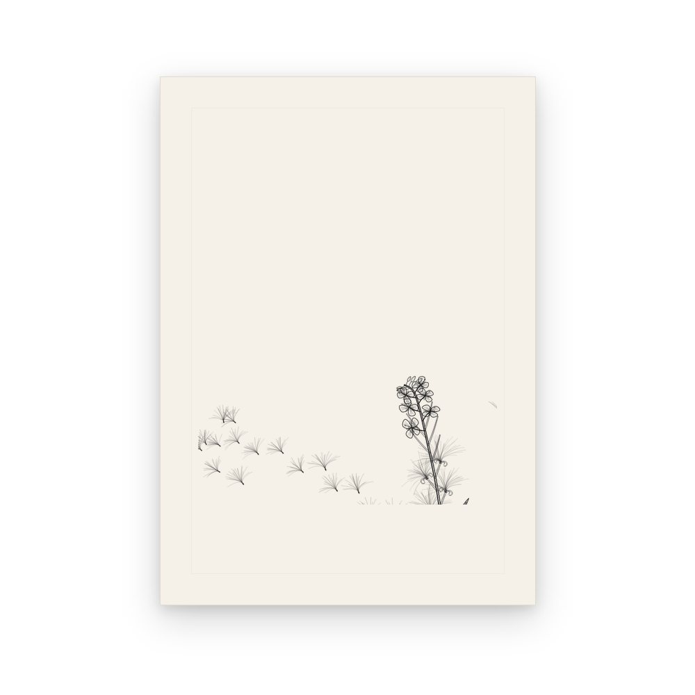 The Fireweed