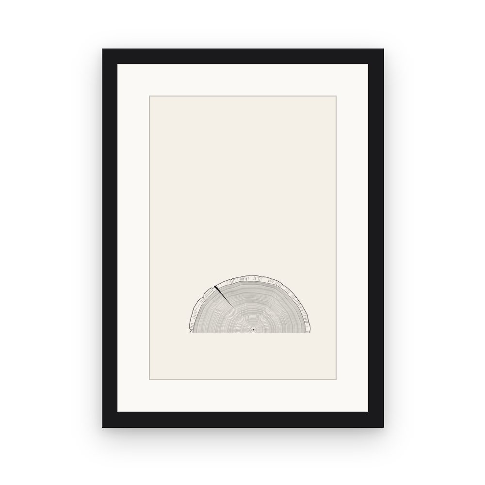 The Tree Rings, framed, Black