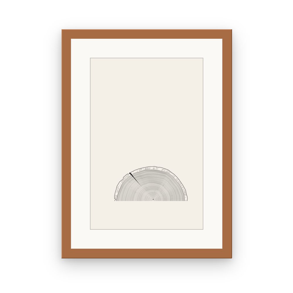 The Tree Rings, framed, Red Oak