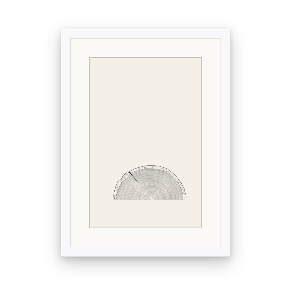 The Tree Rings, framed, White