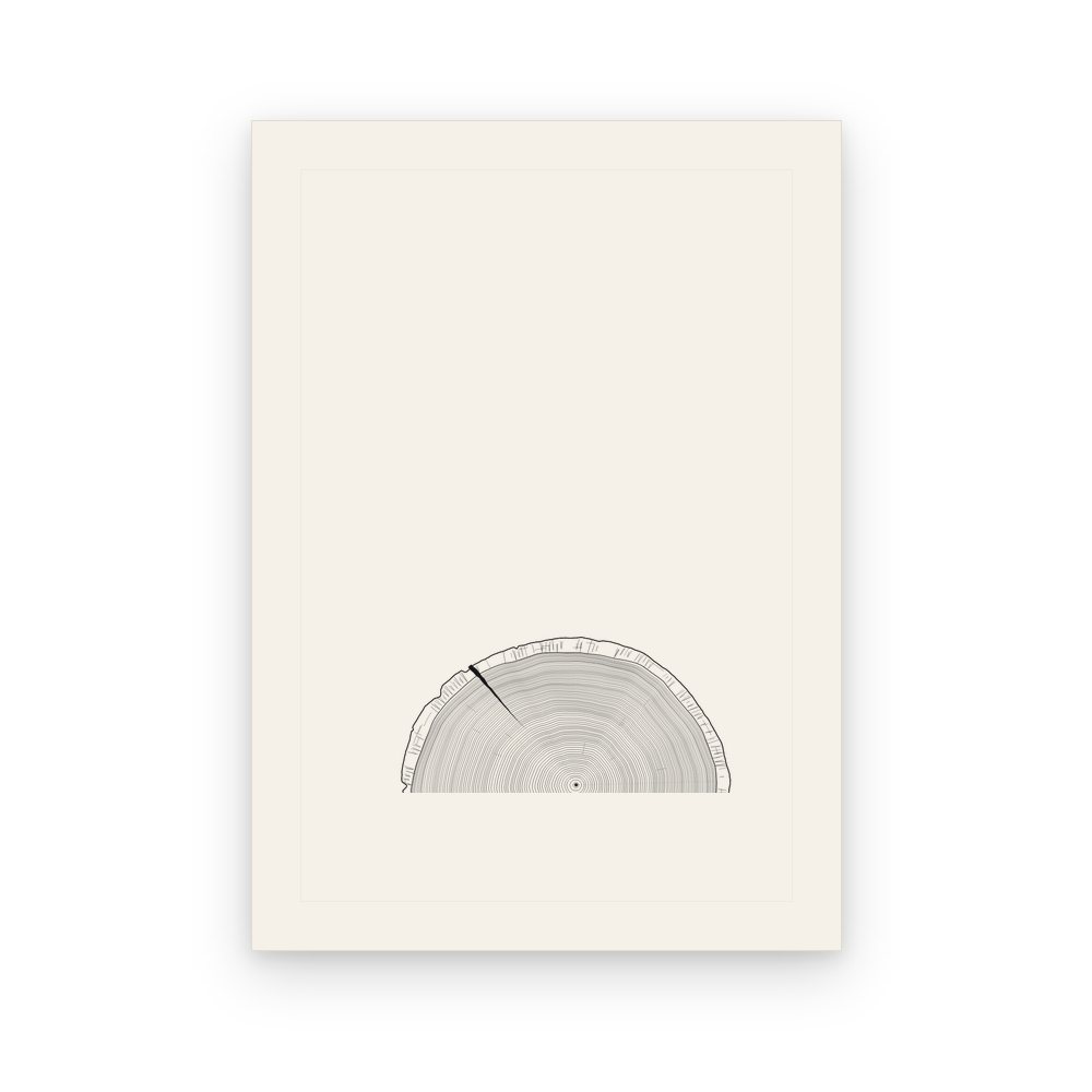 The Tree Rings